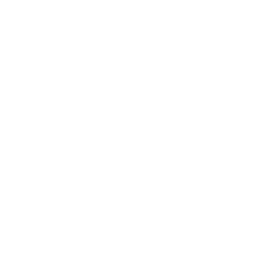 vlm logo